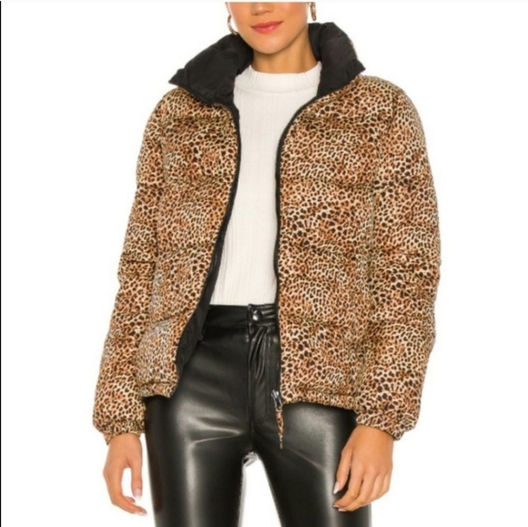 BB Dakota by Steve Madden Reversible  Cool Kitten Puffer Jacket Size XS - Picture 3 of 9